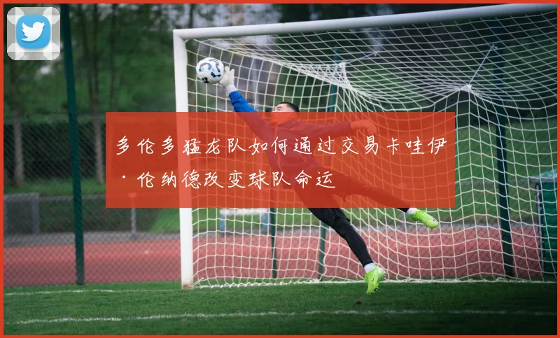 多伦多猛龙队如何通过交易卡哇伊·伦纳德改变球队命运