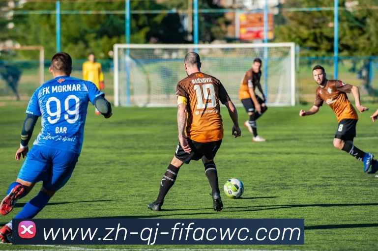 世界杯在线观看平台生态图